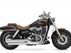 2010 Harley-Davidson Harley Davidson FXDF-SE Dyna Fat Bob CVO